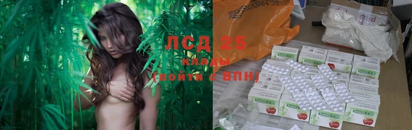 стафф Горнозаводск