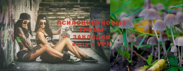 герыч Горняк